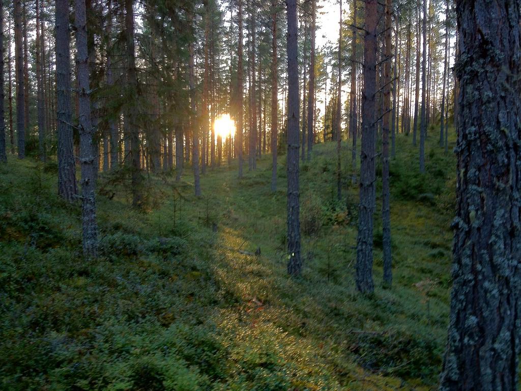 Rustika Strandstugor Utanfoer Raettvik Buitenkant foto